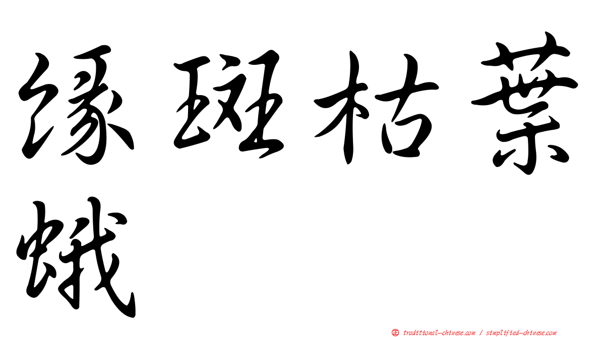 緣斑枯葉蛾