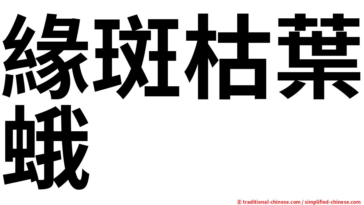 緣斑枯葉蛾
