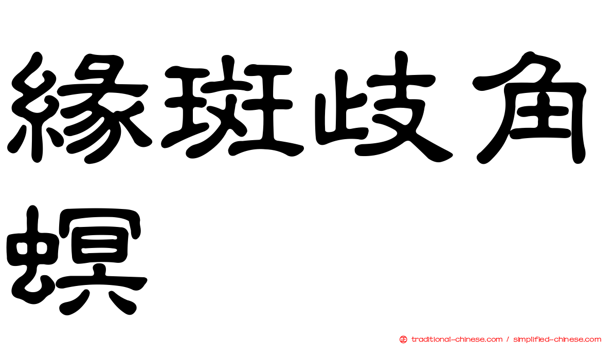 緣斑歧角螟