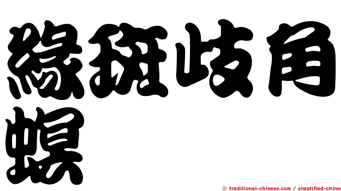 緣斑歧角螟