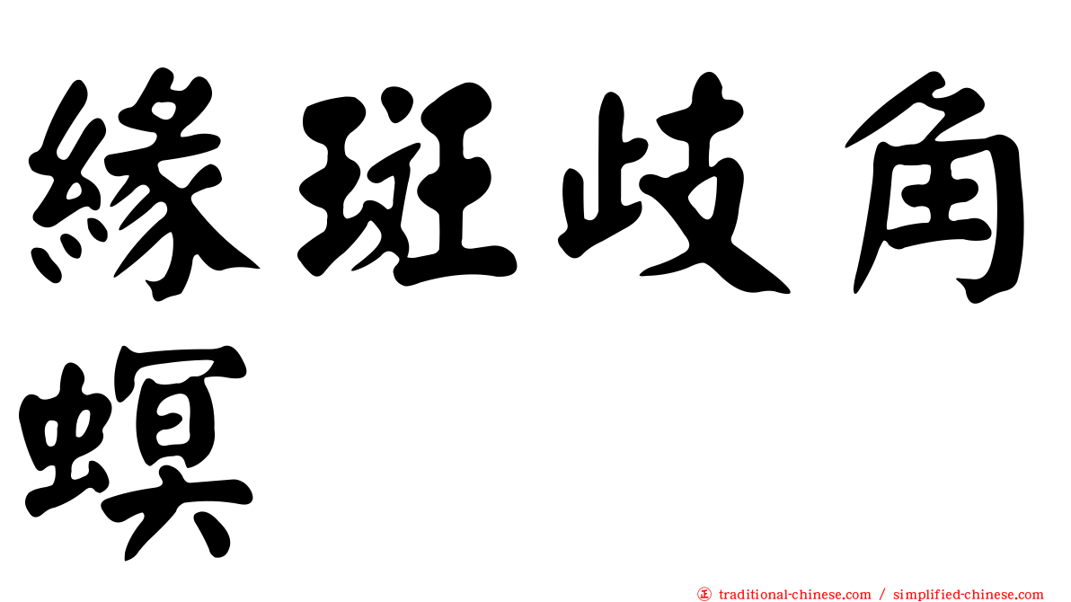 緣斑歧角螟