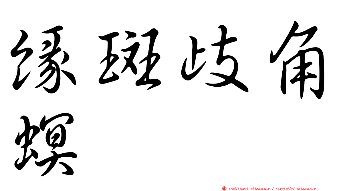 緣斑歧角螟