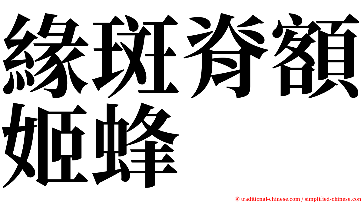 緣斑脊額姬蜂 serif font