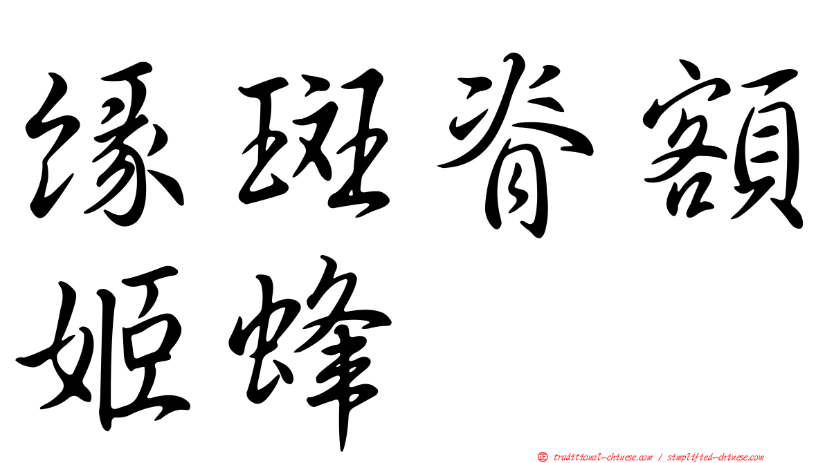 緣斑脊額姬蜂