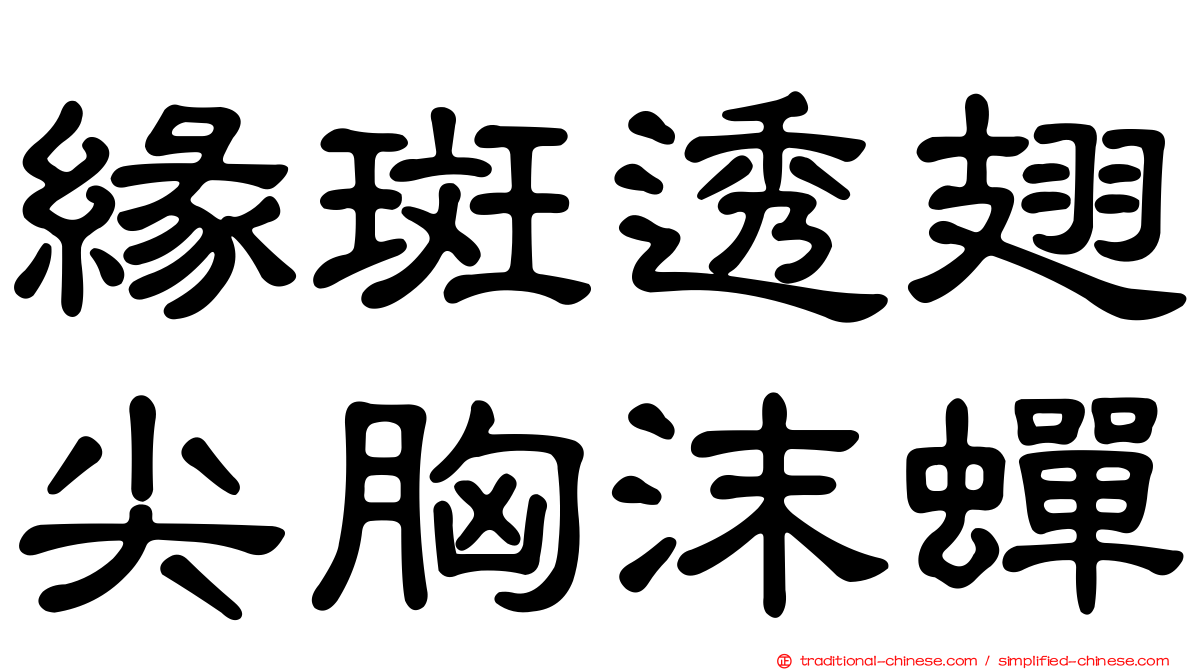 緣斑透翅尖胸沫蟬