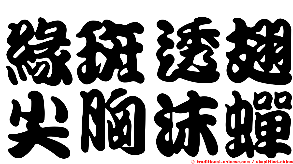緣斑透翅尖胸沫蟬
