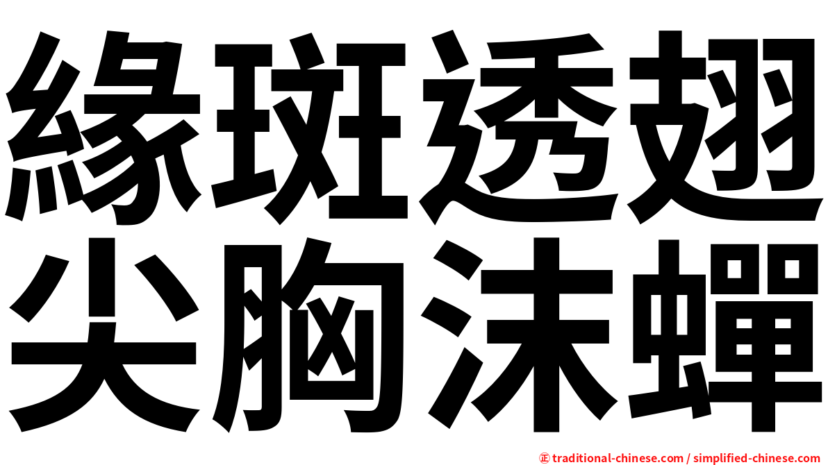 緣斑透翅尖胸沫蟬