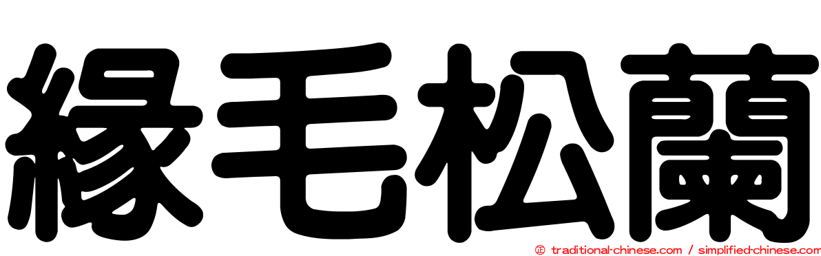 緣毛松蘭