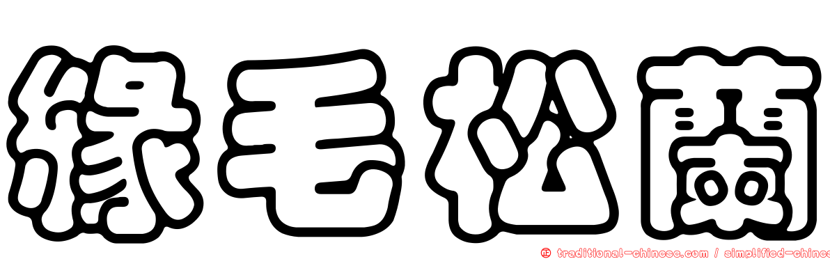 緣毛松蘭