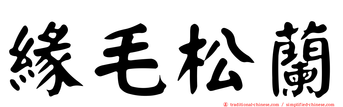 緣毛松蘭