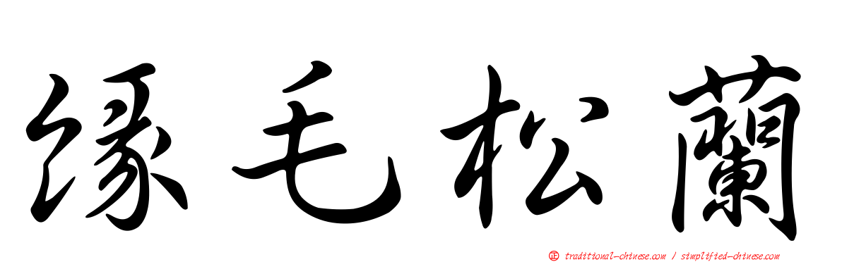 緣毛松蘭