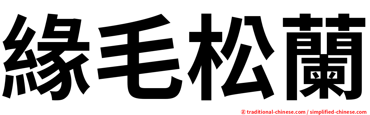 緣毛松蘭