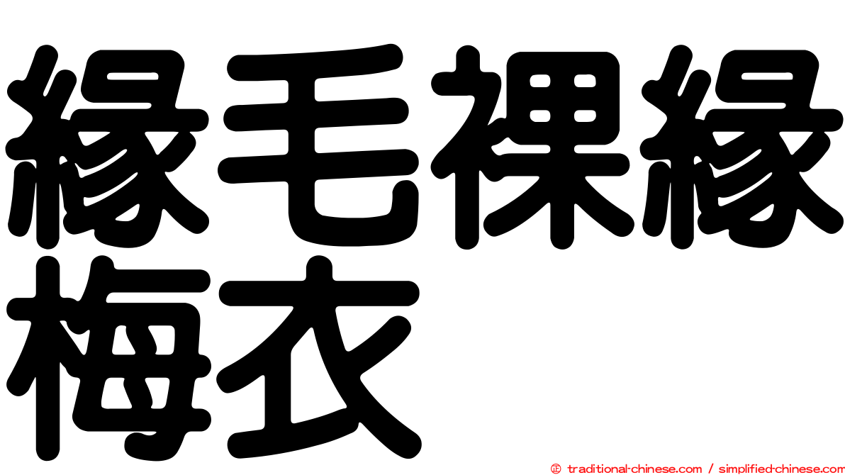 緣毛裸緣梅衣