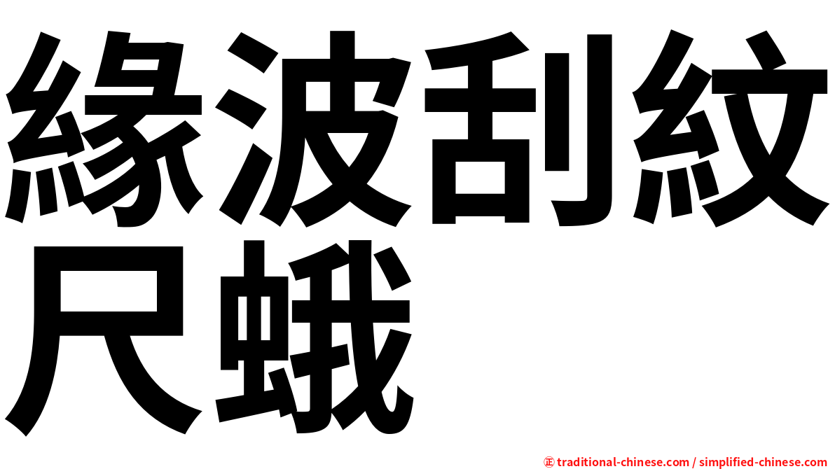 緣波刮紋尺蛾
