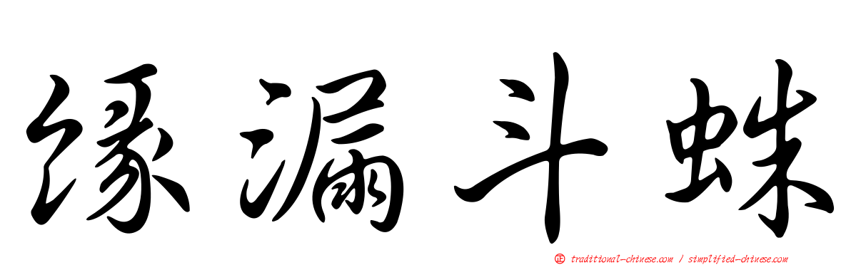 緣漏斗蛛