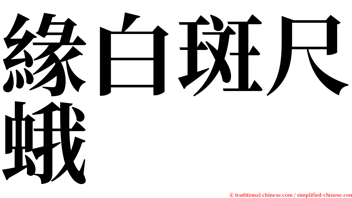 緣白斑尺蛾 serif font
