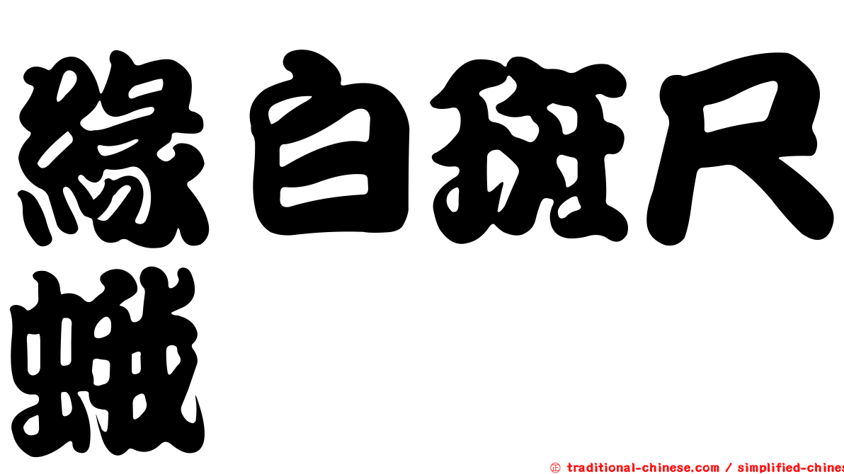 緣白斑尺蛾