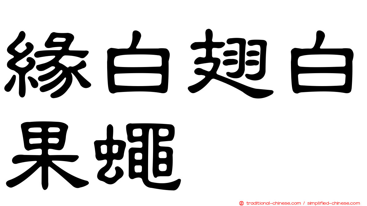 緣白翅白果蠅