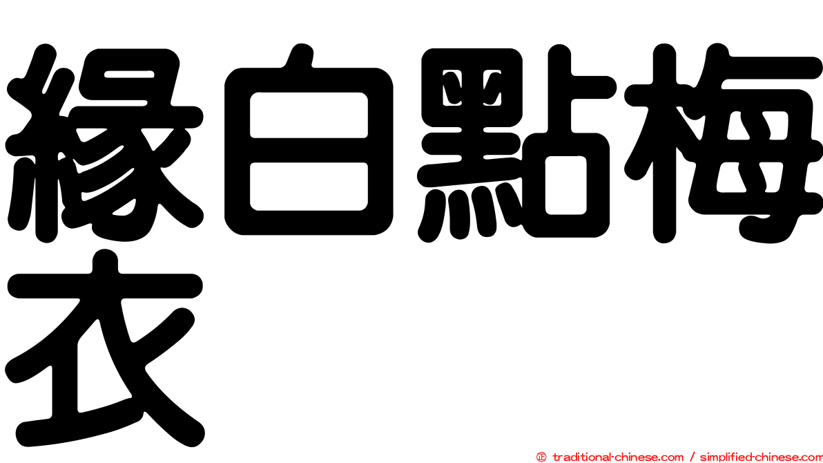 緣白點梅衣
