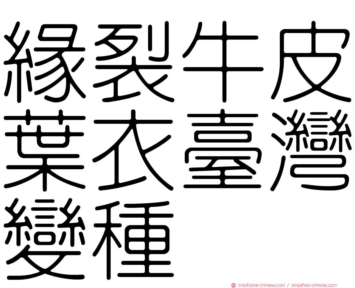 緣裂牛皮葉衣臺灣變種