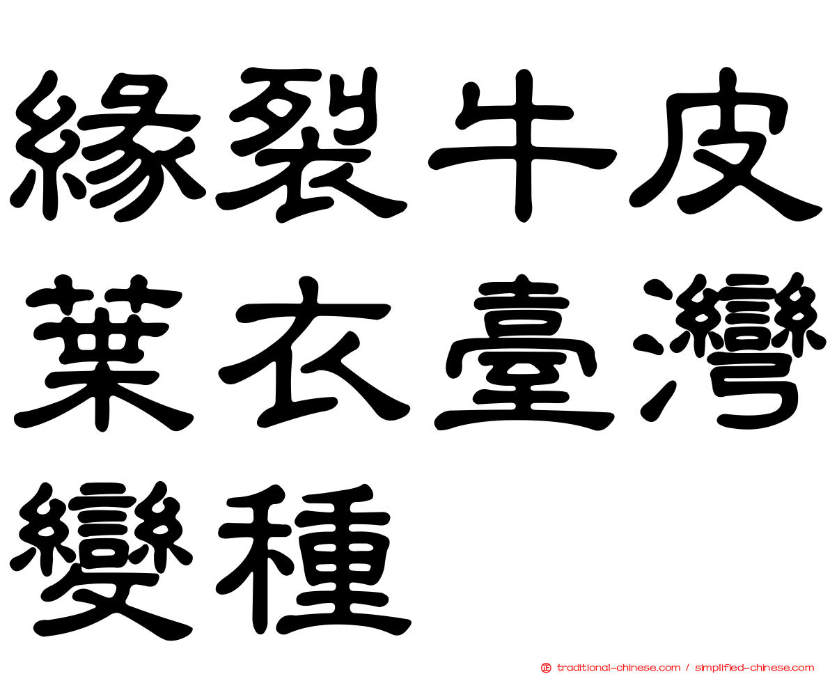 緣裂牛皮葉衣臺灣變種