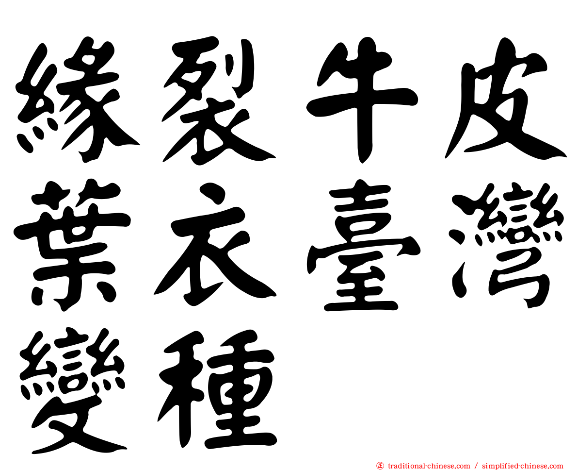 緣裂牛皮葉衣臺灣變種