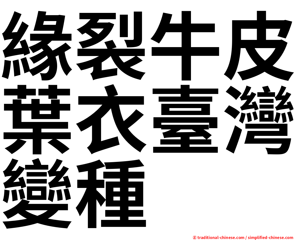 緣裂牛皮葉衣臺灣變種
