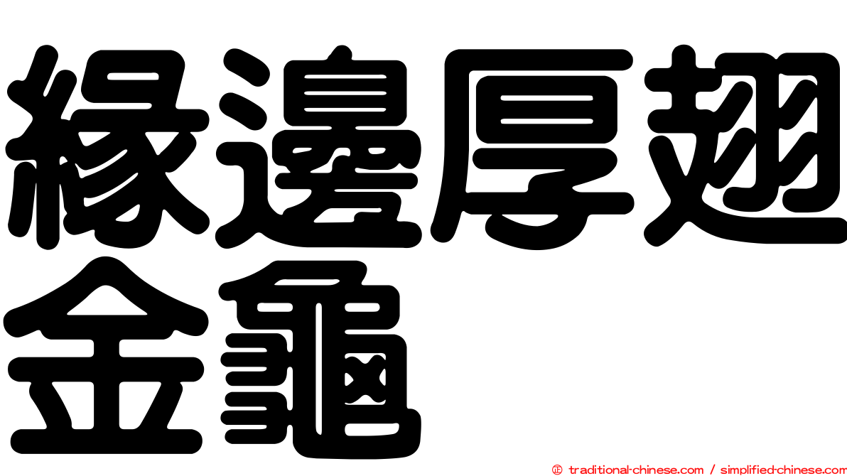 緣邊厚翅金龜