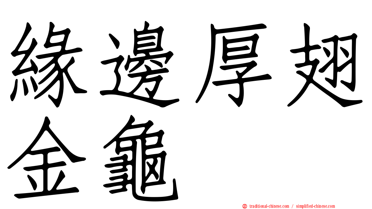 緣邊厚翅金龜