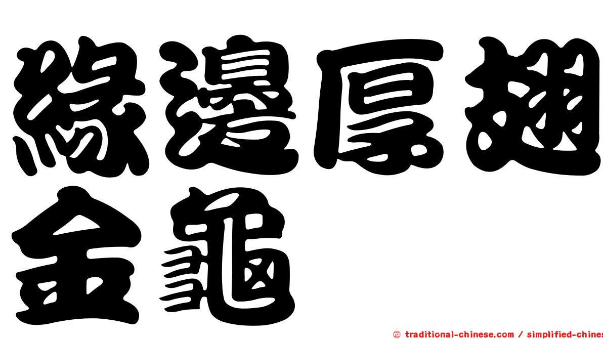 緣邊厚翅金龜