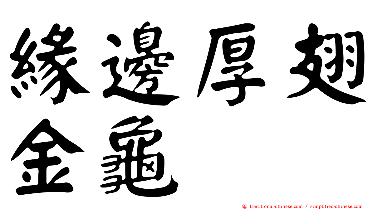 緣邊厚翅金龜