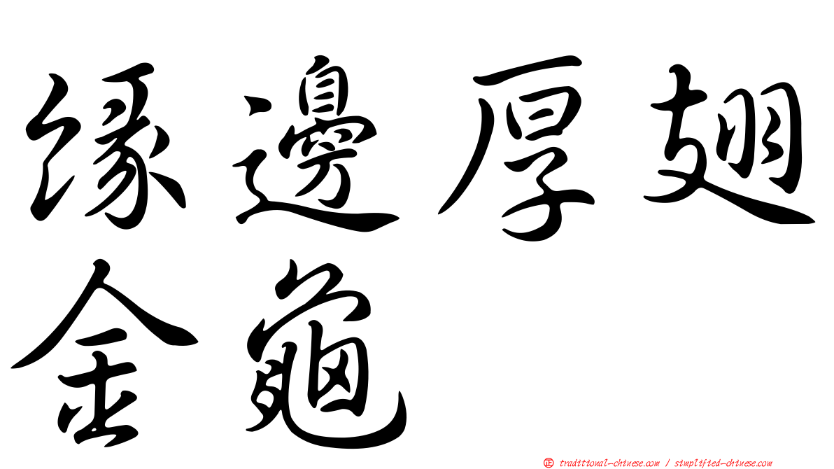 緣邊厚翅金龜