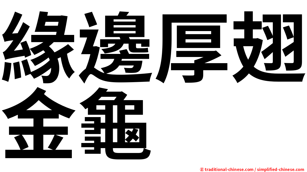 緣邊厚翅金龜