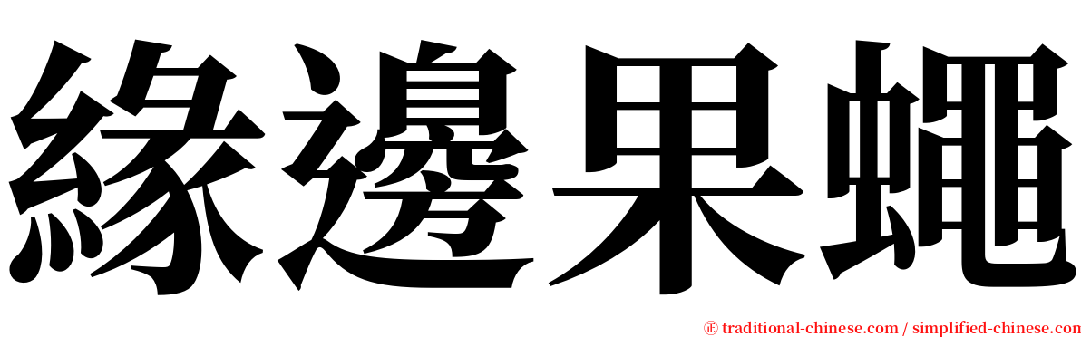 緣邊果蠅 serif font