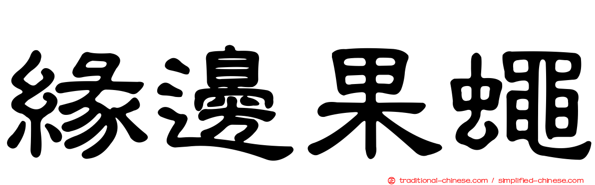 緣邊果蠅