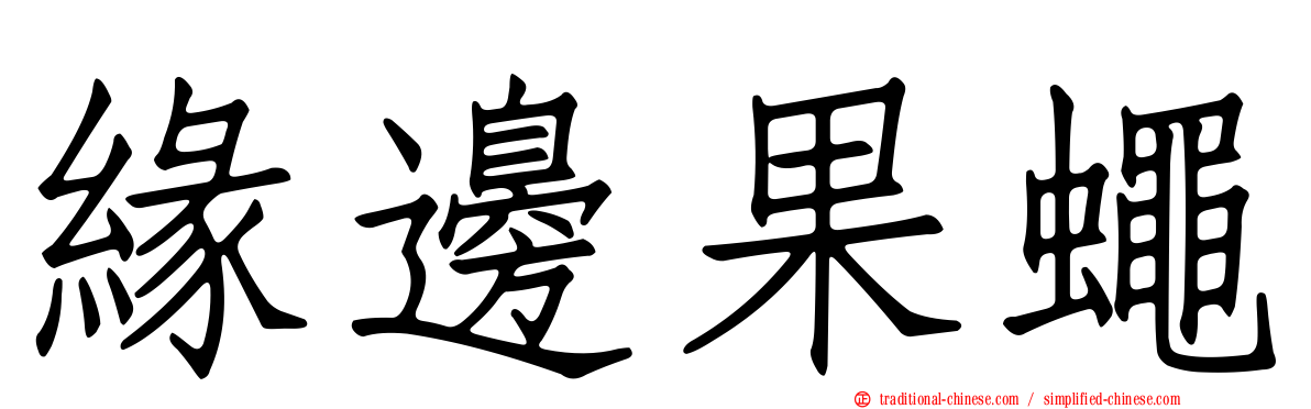 緣邊果蠅