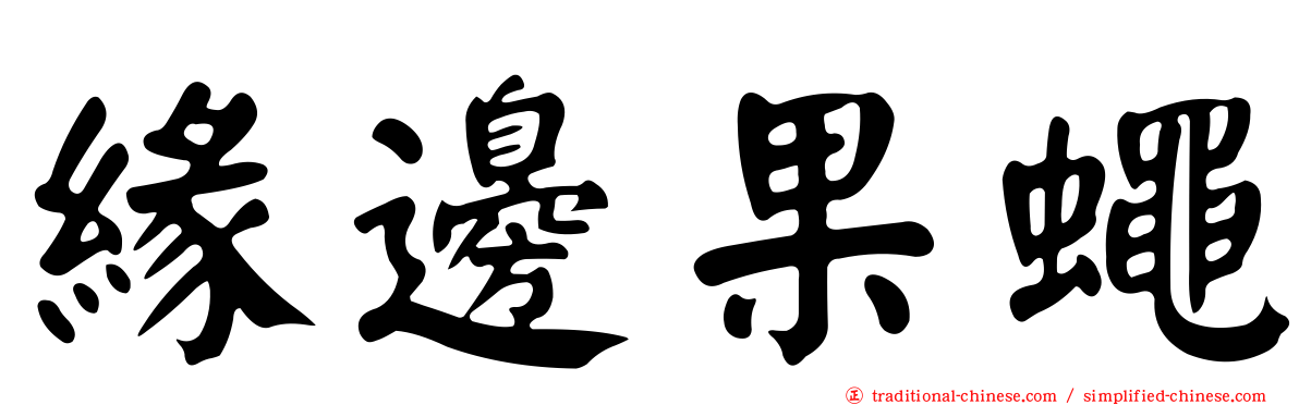 緣邊果蠅