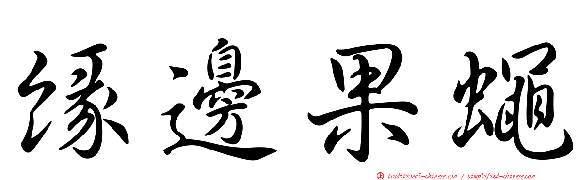 緣邊果蠅