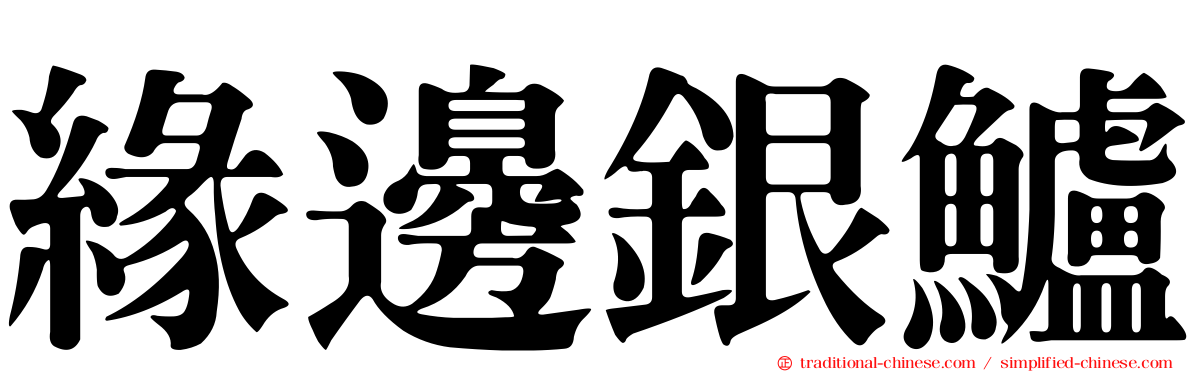 緣邊銀鱸