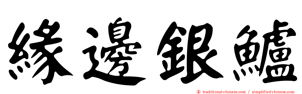 緣邊銀鱸