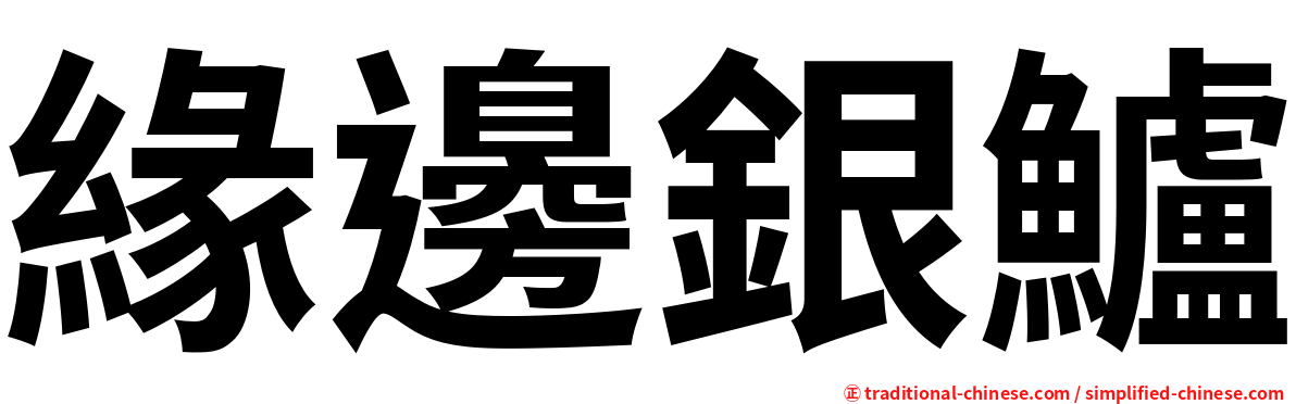 緣邊銀鱸