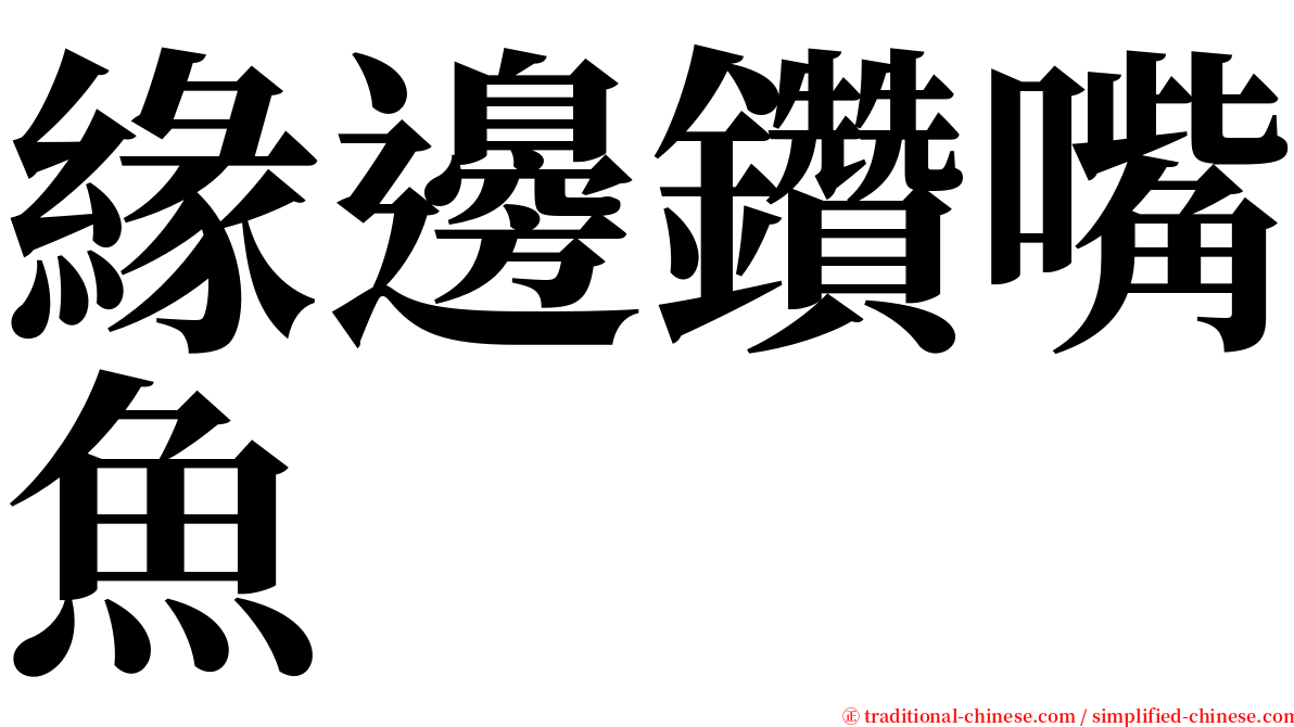 緣邊鑽嘴魚 serif font