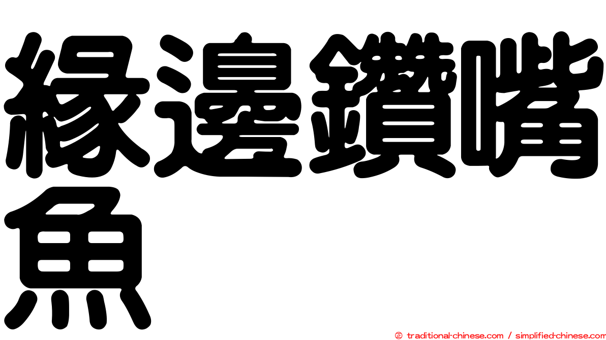緣邊鑽嘴魚