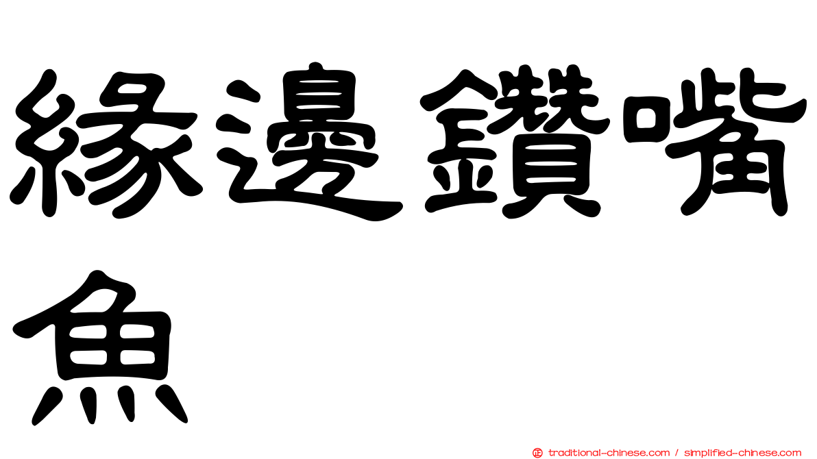 緣邊鑽嘴魚