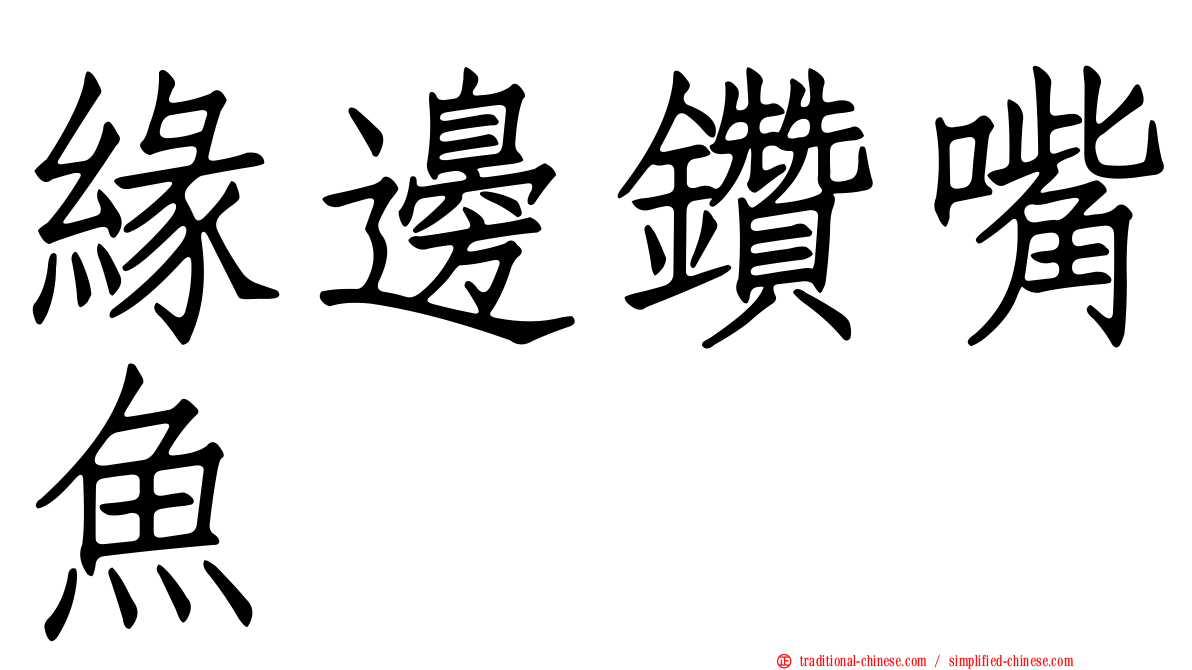 緣邊鑽嘴魚