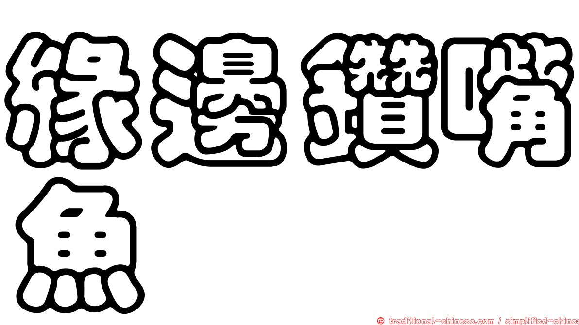 緣邊鑽嘴魚