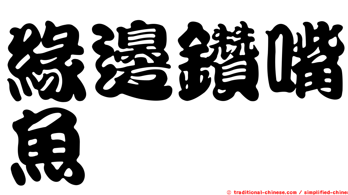 緣邊鑽嘴魚