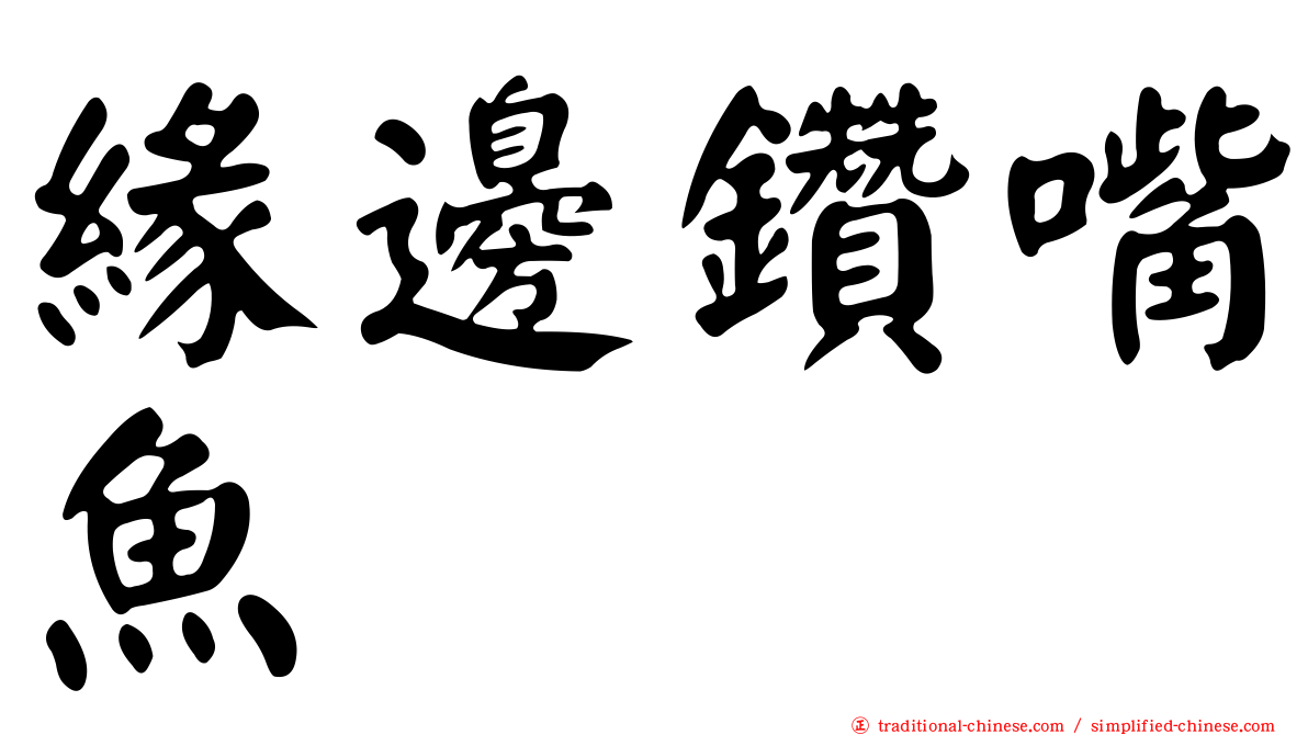緣邊鑽嘴魚