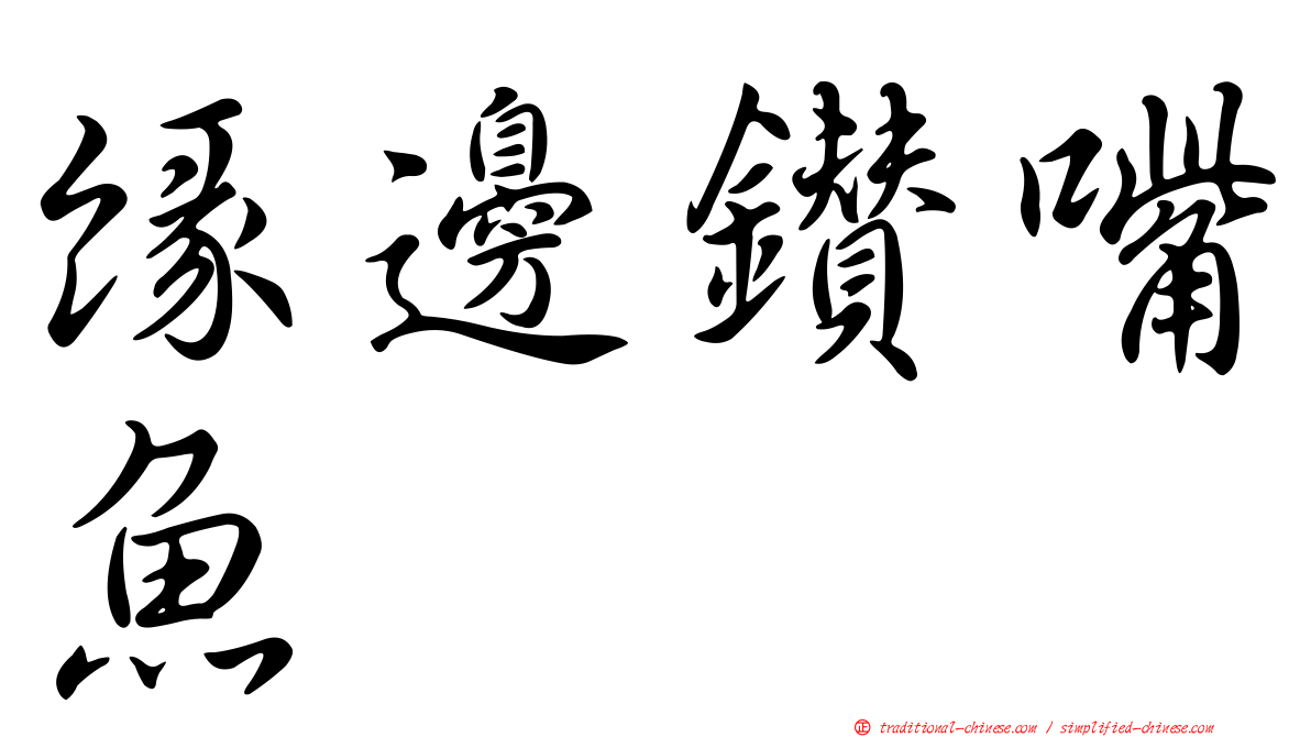 緣邊鑽嘴魚