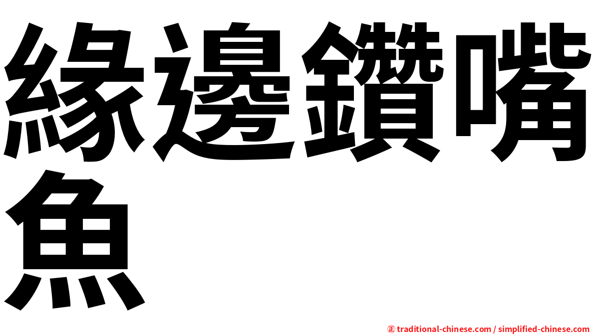 緣邊鑽嘴魚